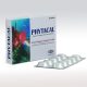 Phytacal